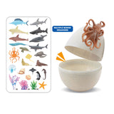 egg storage octopus starfish seahorse animal children's popular new design novelty funny sea ocean toy