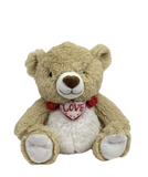 RBJ2113/4 High Quality Teddy Bear Plush Doll Toy